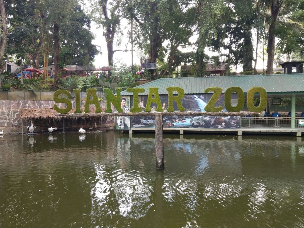 6 Kebun Binatang Terbaik Di Indonesia VisitPalau Rekomendasi