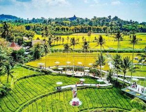 Sawah Svargabumi
