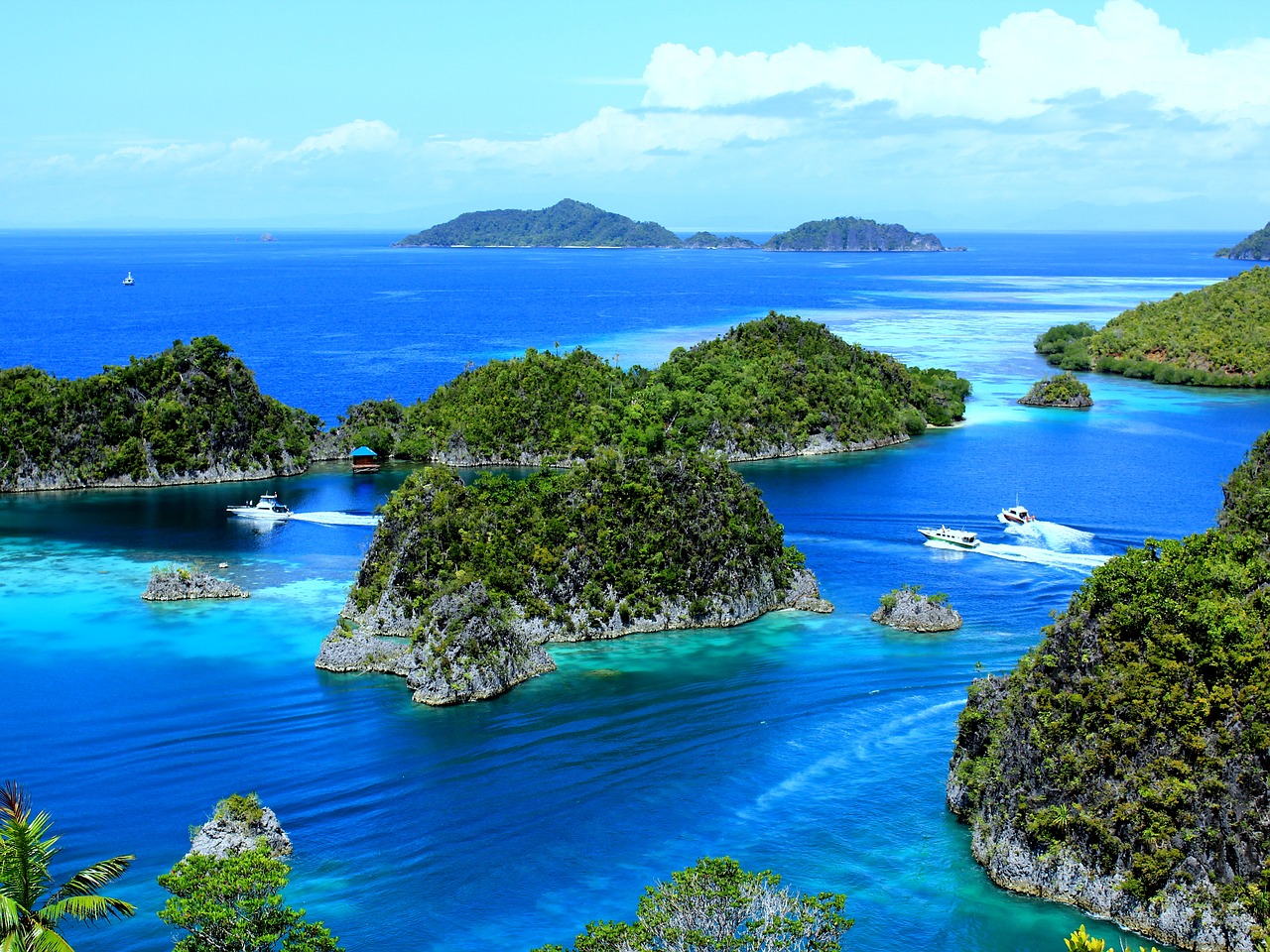 Raja ampat papua barat