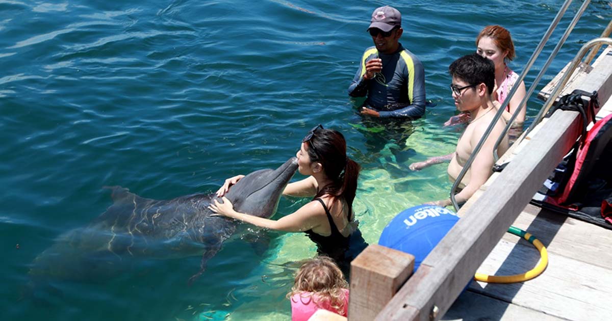 Inilah Kegiatan Seru Yang Bisa Dilakukan di Pulau Palau