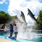 Mengintip Keindahan Yang Tersembunyi di Pulau Palau