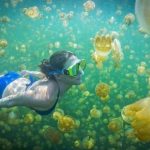 Spot Wisata Terbaik di Pulau Palau yang Wajib Dikunjungi